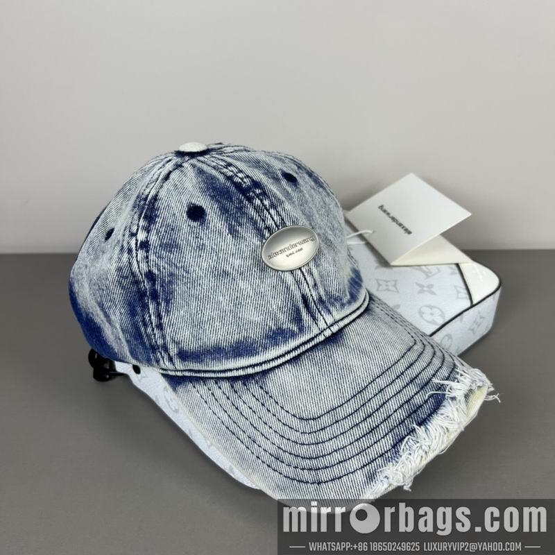 Replica Alexander Wang cap dx20