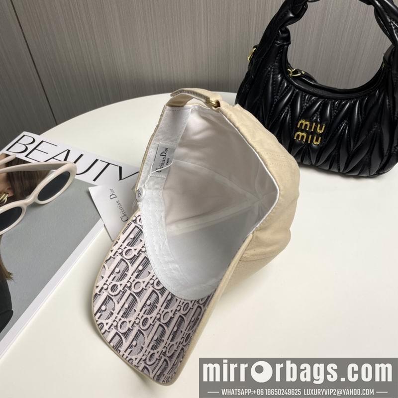 Replica Dior cap 101101