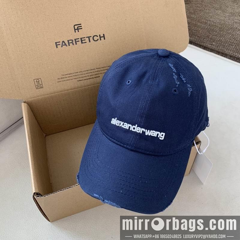 Replica Alexander Wang cap dx13