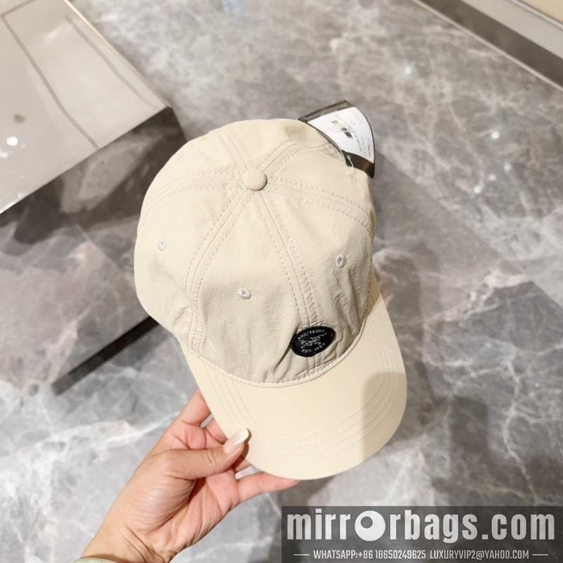 Replica Arcteryx cap dx10