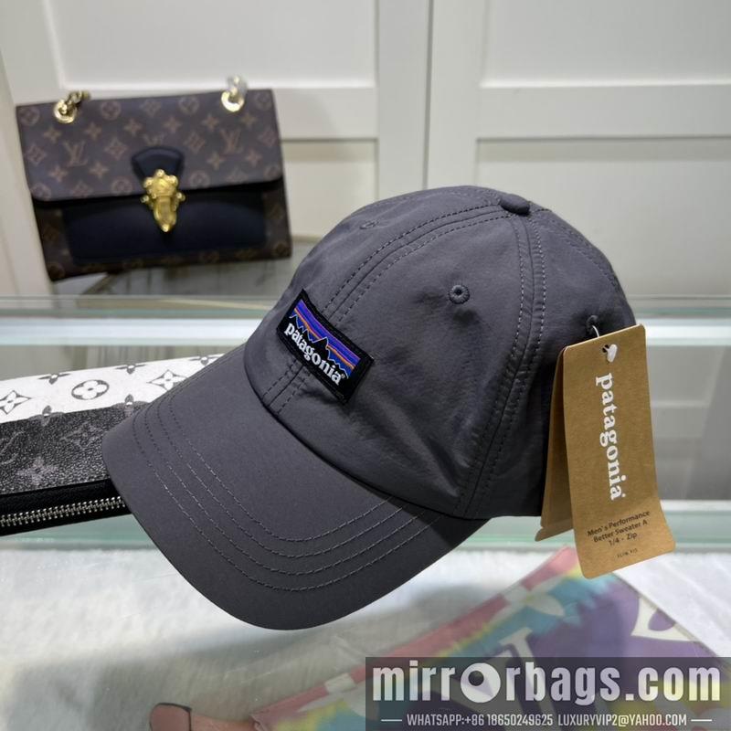 Replica Patagonia cap dx08