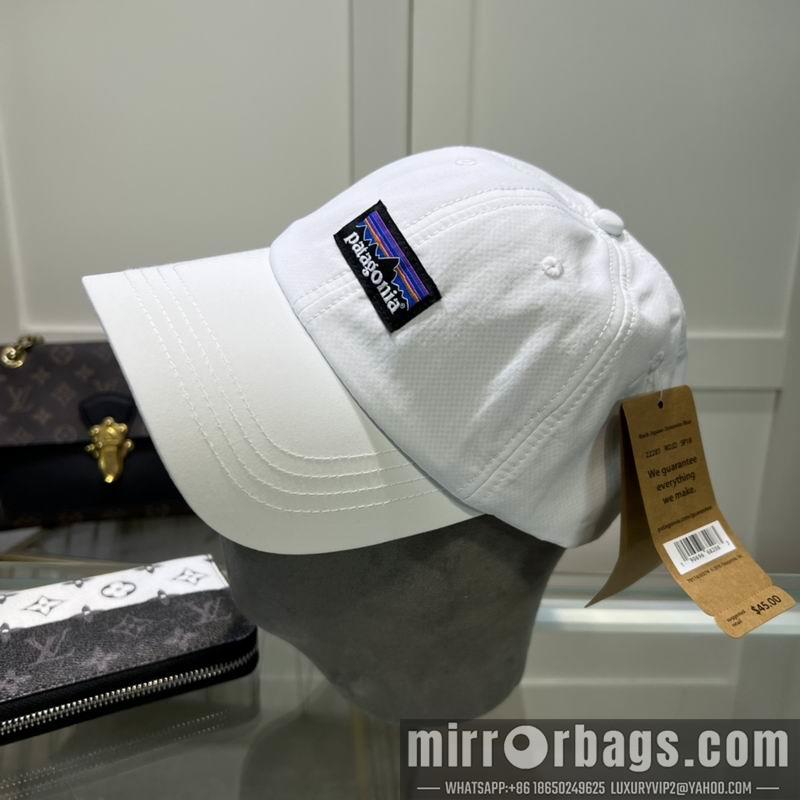 Replica Patagonia cap dx08