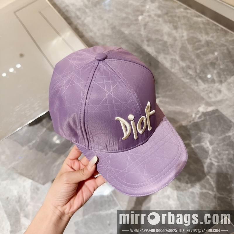 Replica Dior cap 080104
