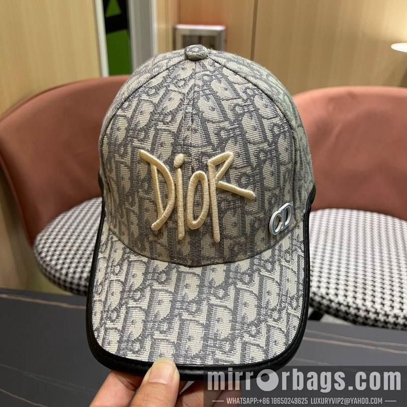 Replica Dior Hat 092701