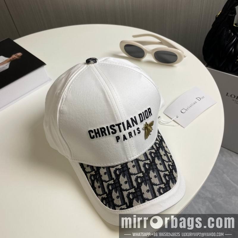 Replica Dior cap 081001