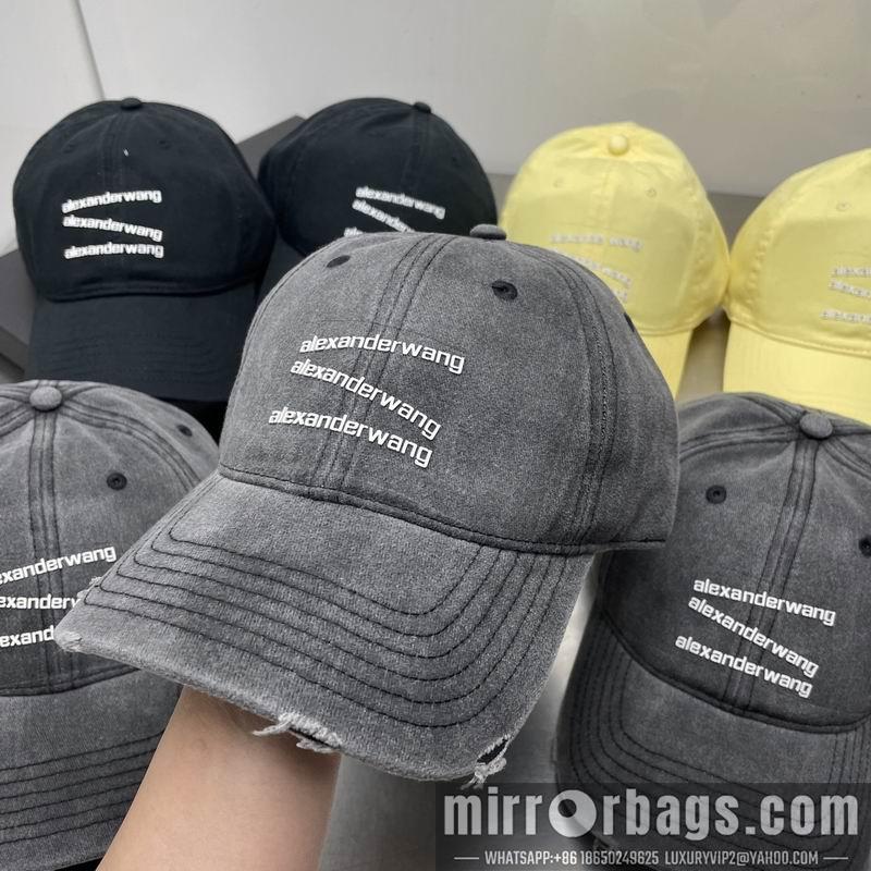 Replica Alexander Wang cap dx21