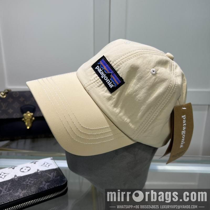 Replica Patagonia cap dx08