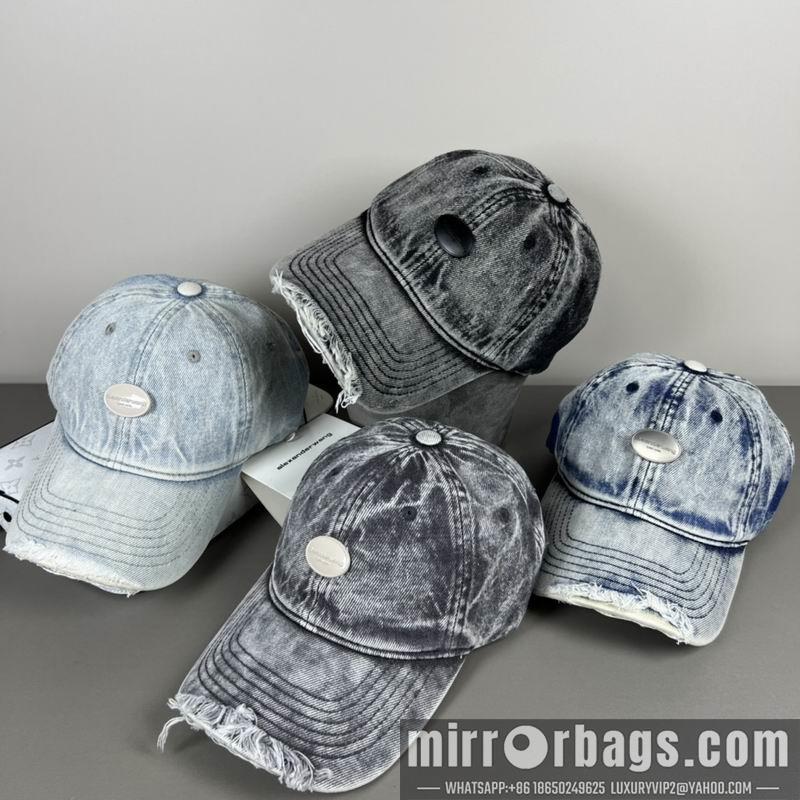 Replica Alexander Wang cap dx20