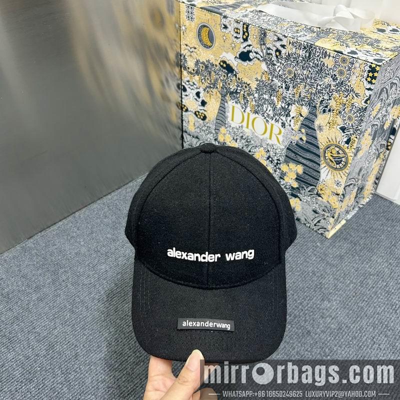 Replica Alexander Wang cap dx15