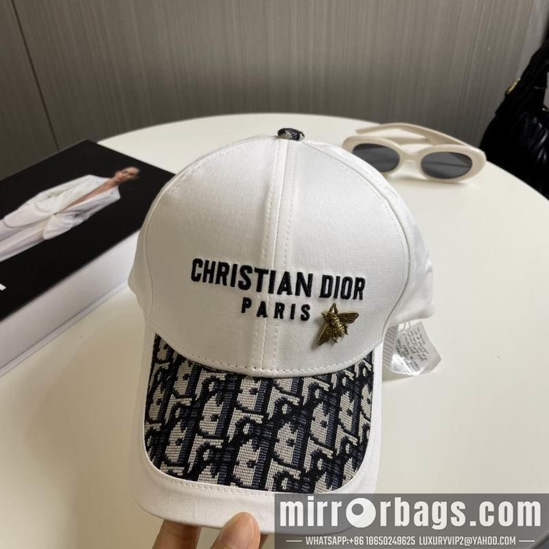Replica Dior cap 081001