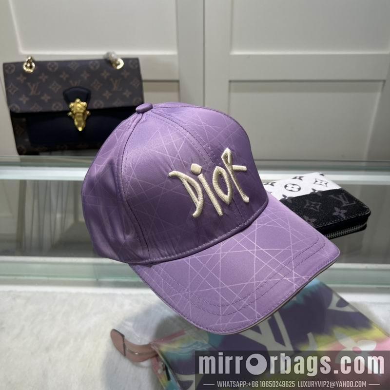 Replica Dior Hat dx58