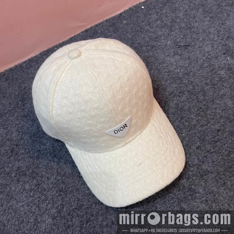 Replica Dior cap 011301