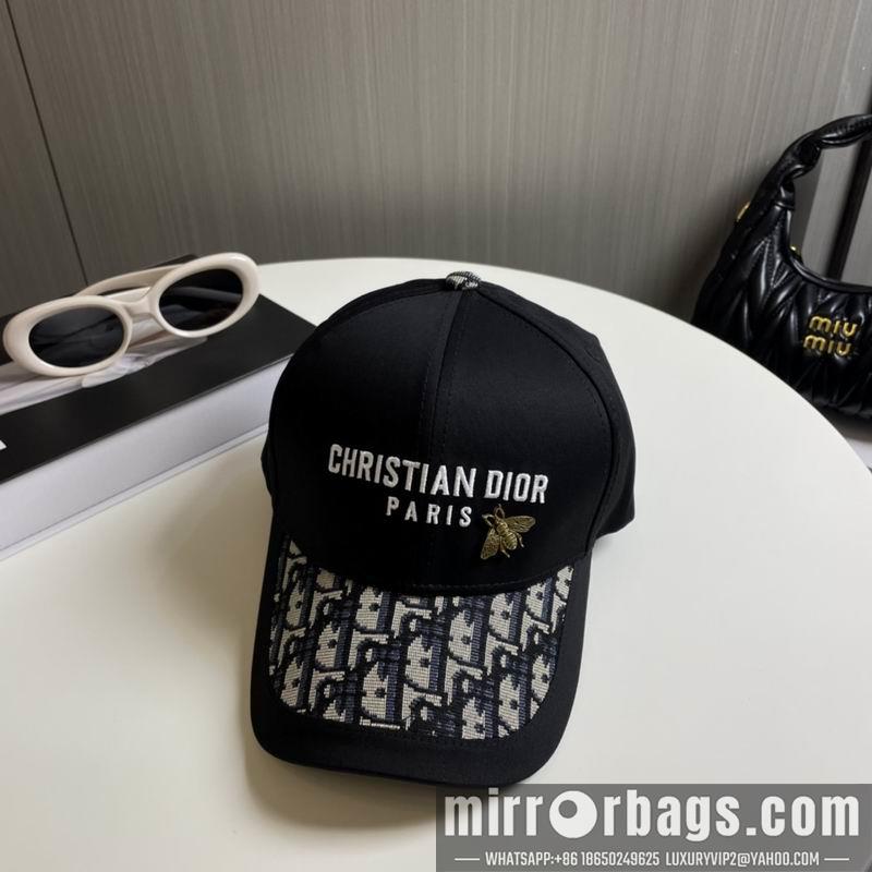 Replica Dior cap 081001