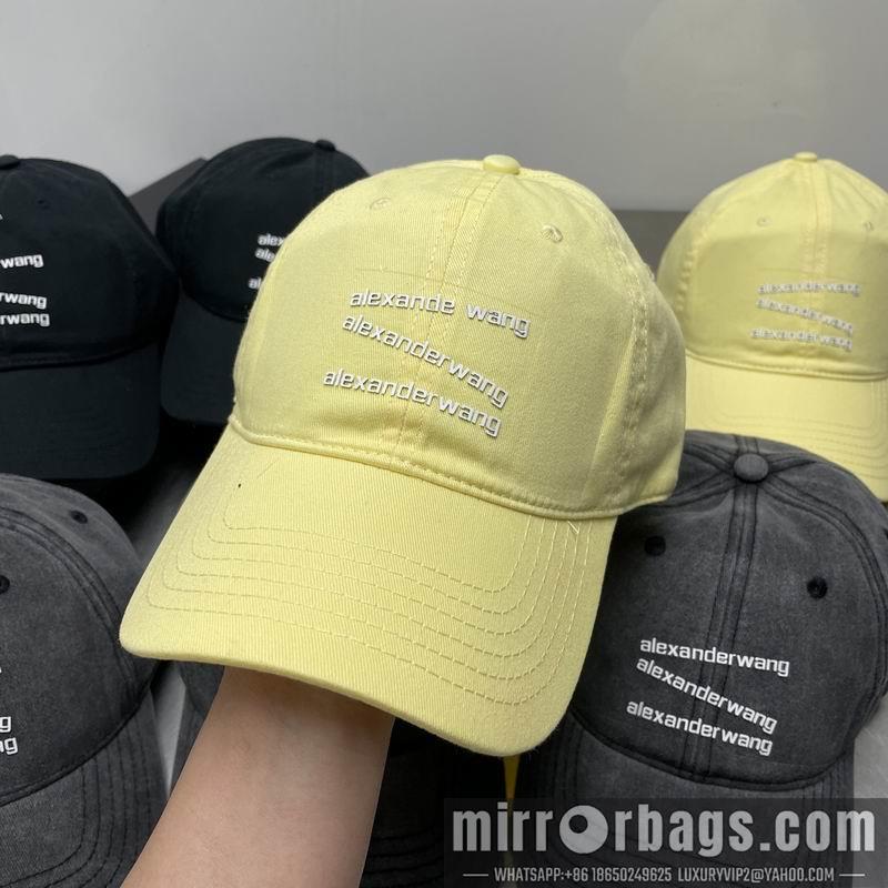 Replica Alexander Wang cap dx21