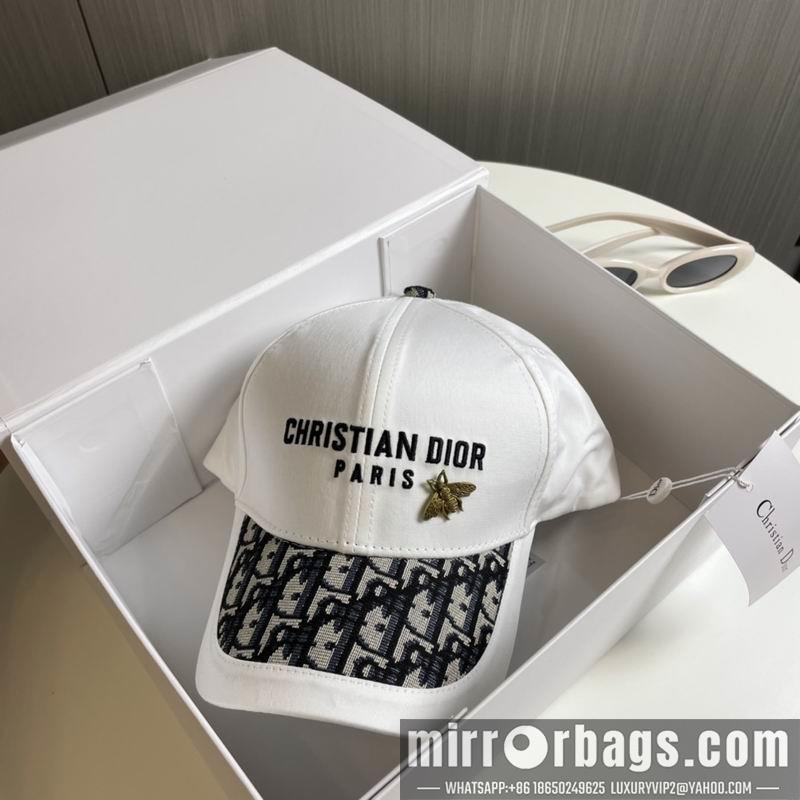 Replica Dior cap 081001