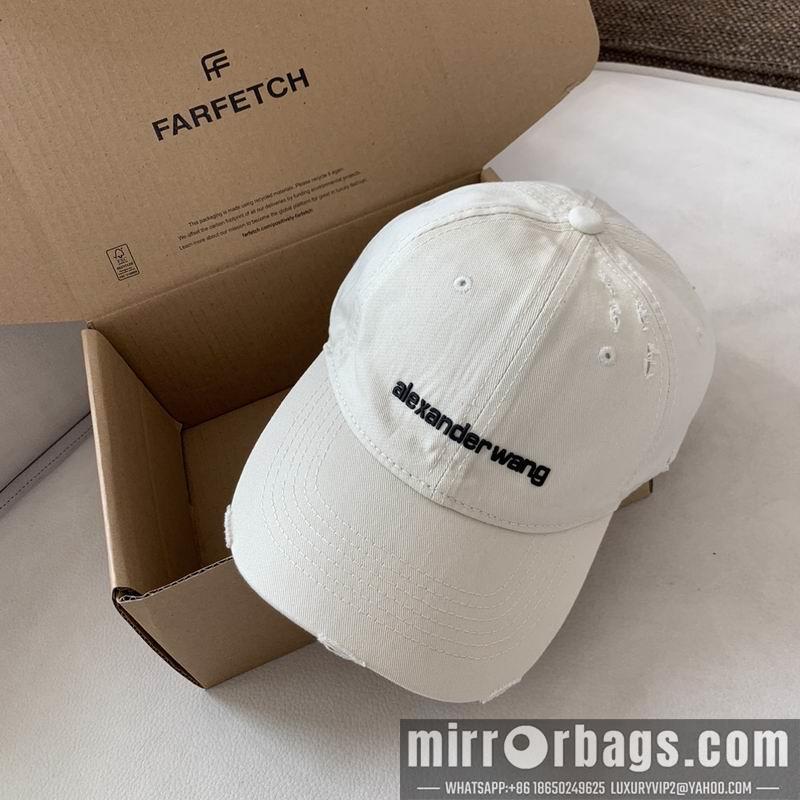 Replica Alexander Wang cap dx13
