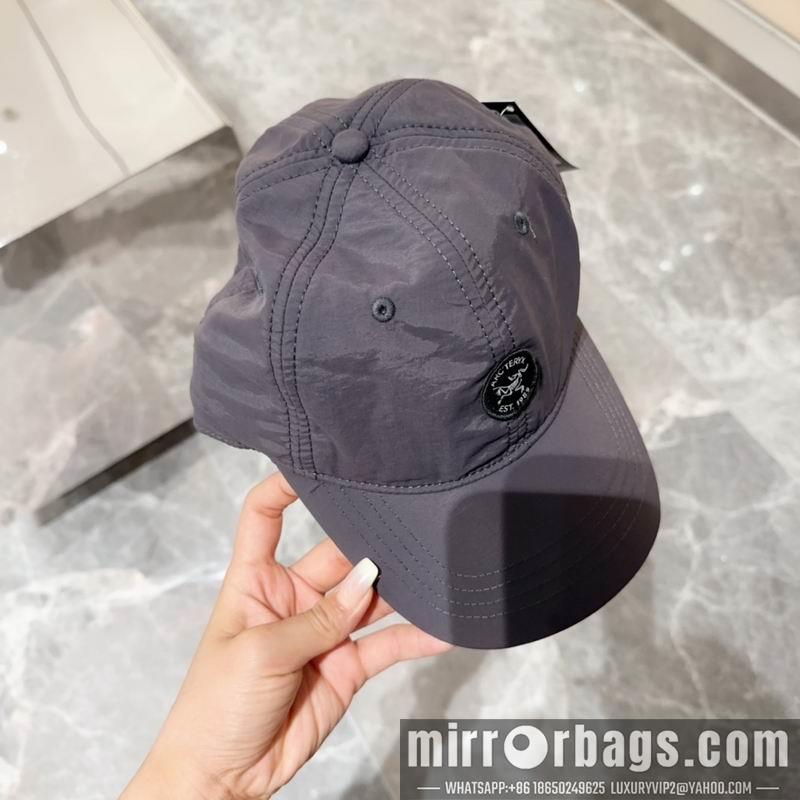Replica Arcteryx cap dx10