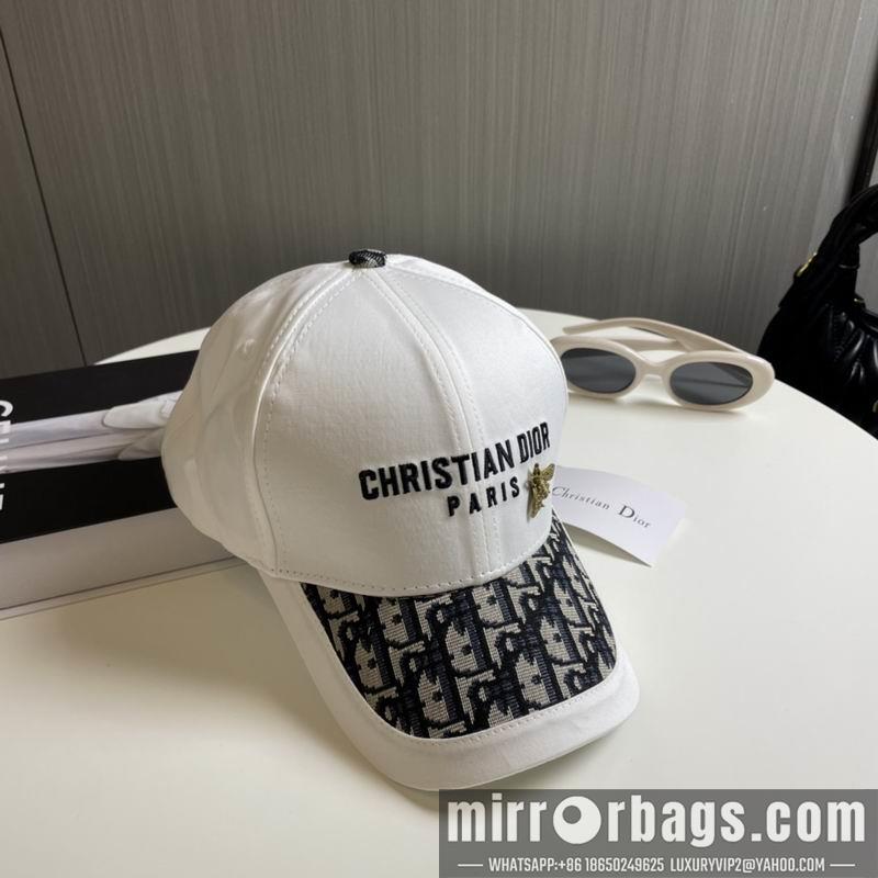 Replica Dior cap 081001