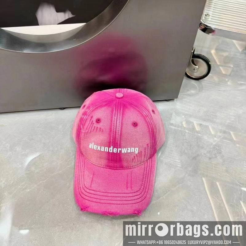 Replica Alexander Wang cap dx05