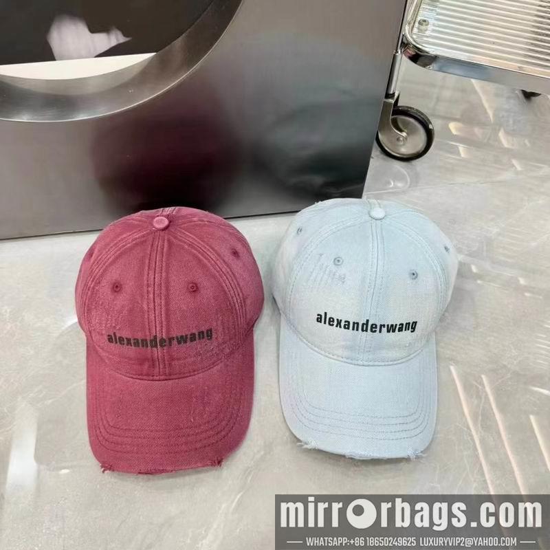 Replica Alexander Wang cap dx05