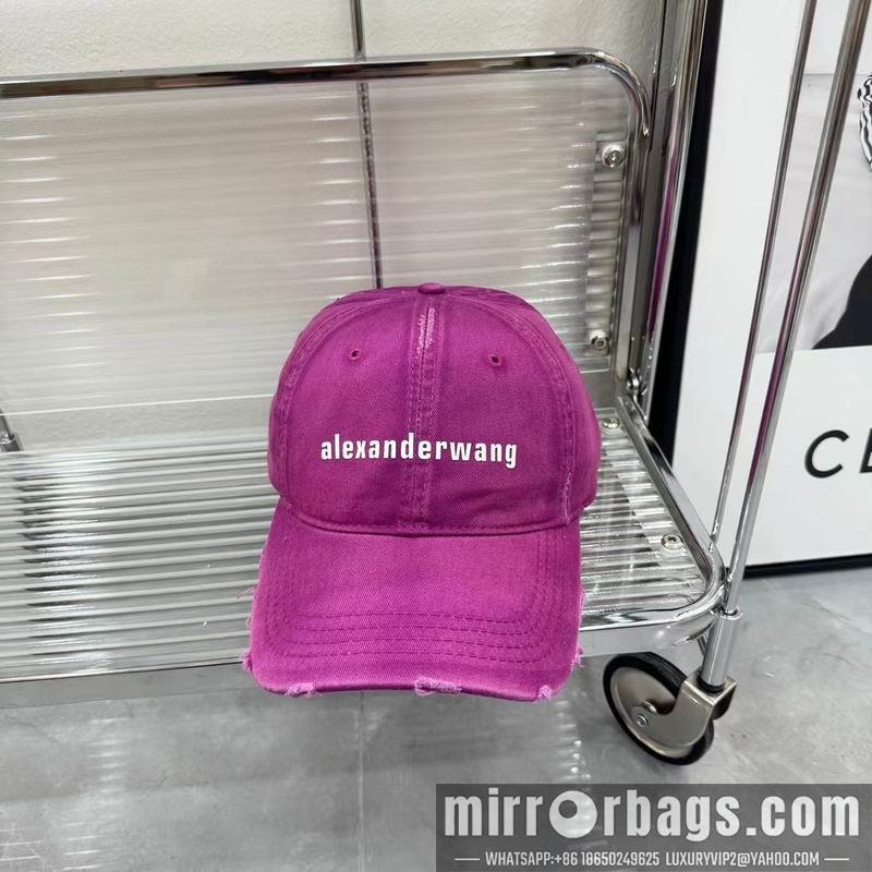 Replica Alexander Wang cap dx01