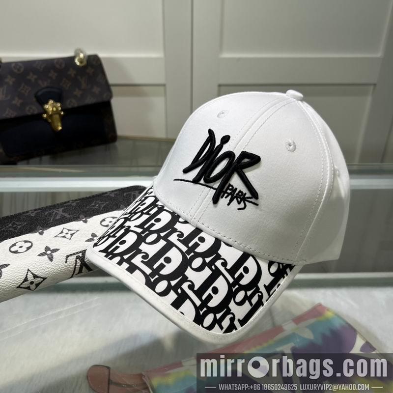 Replica Dior cap hm20