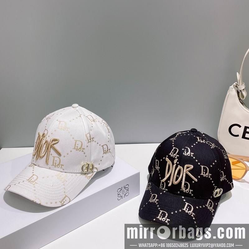 Replica Dior cap 010201