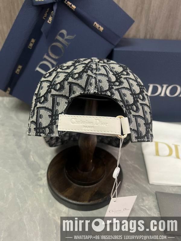 Replica Dior Hat dx06