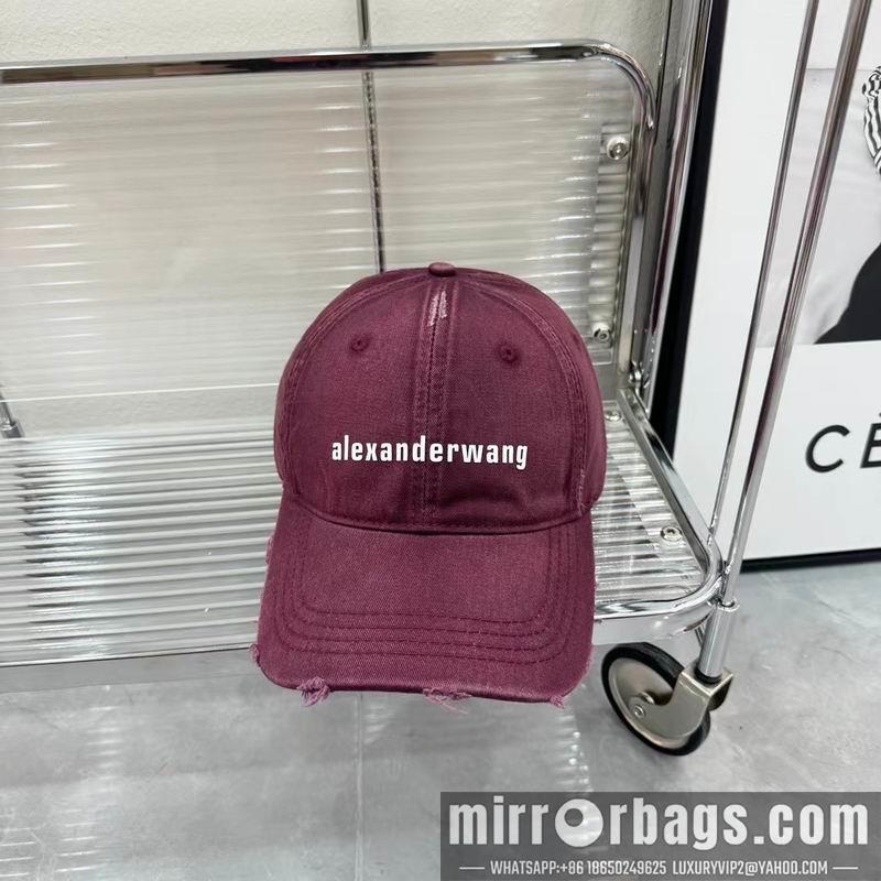 Replica Alexander Wang cap dx01