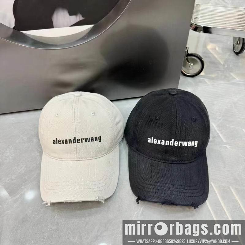Replica Alexander Wang cap dx05