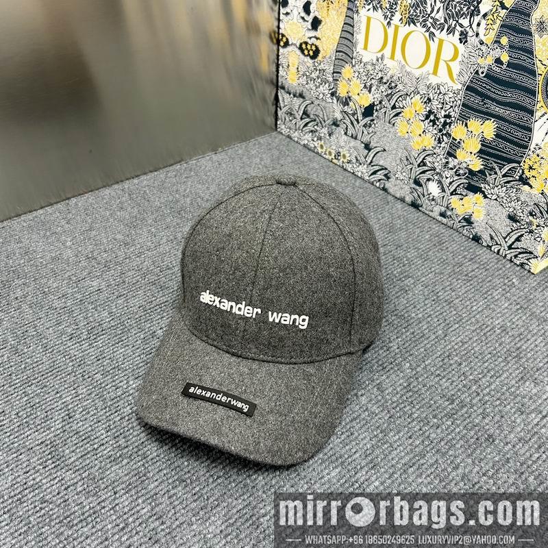 Replica Alexander Wang cap dx15