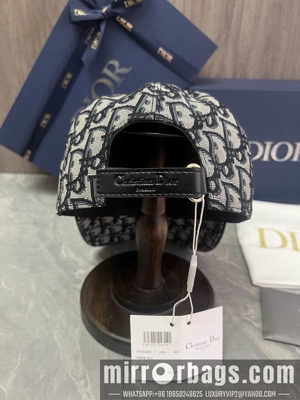 Replica Dior Hat dx06