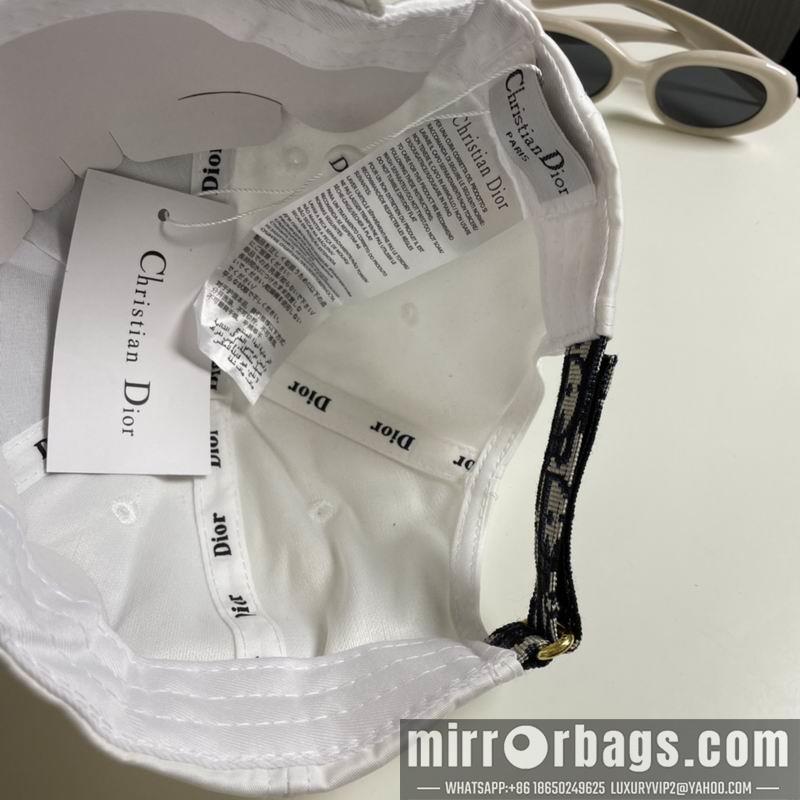 Replica Dior cap 081001