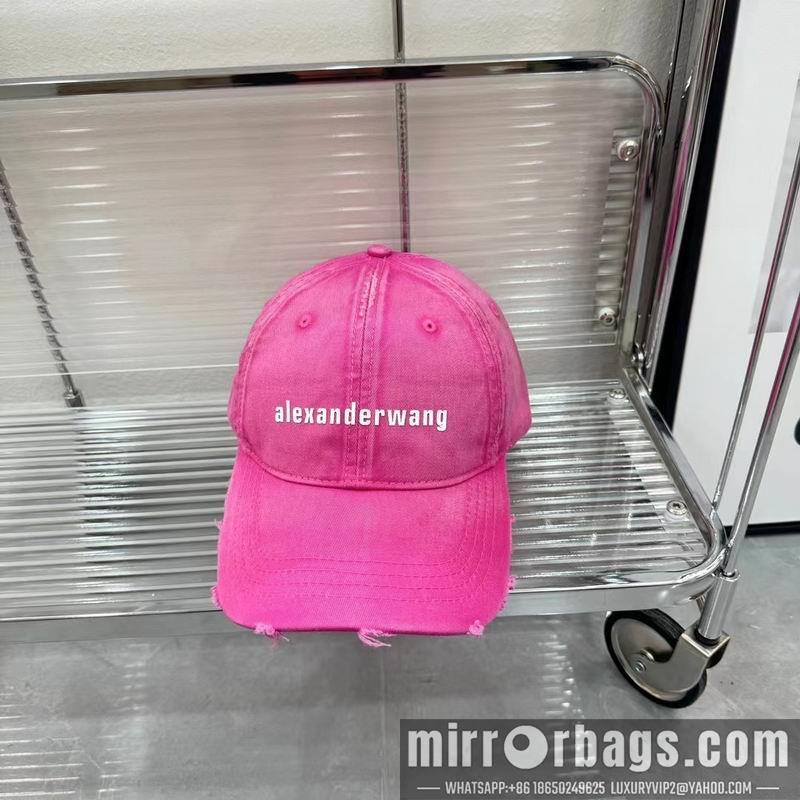Replica Alexander Wang cap dx01