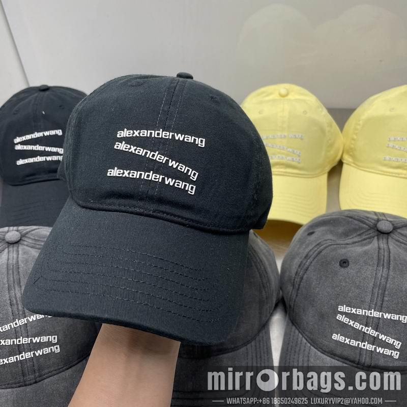 Replica Alexander Wang cap dx21