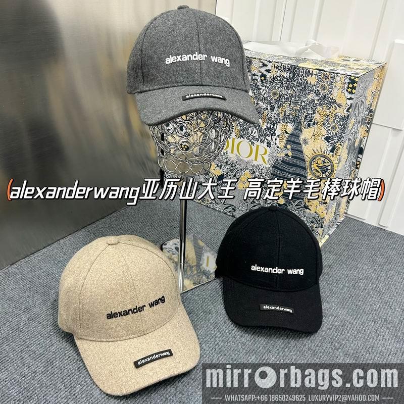 Replica Alexander Wang cap dx15