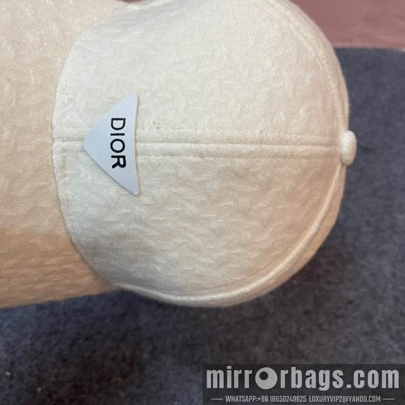 Replica Dior cap 011301