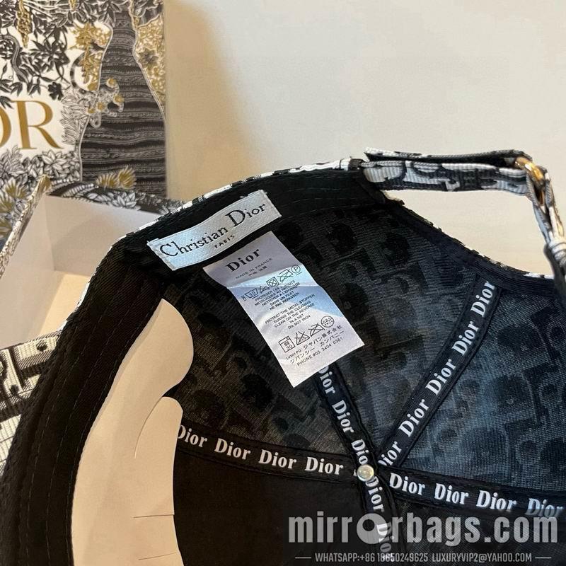 Replica Dior cap dx19