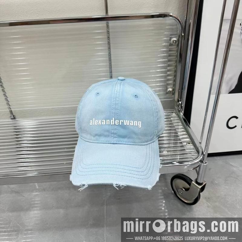 Replica Alexander Wang cap dx01