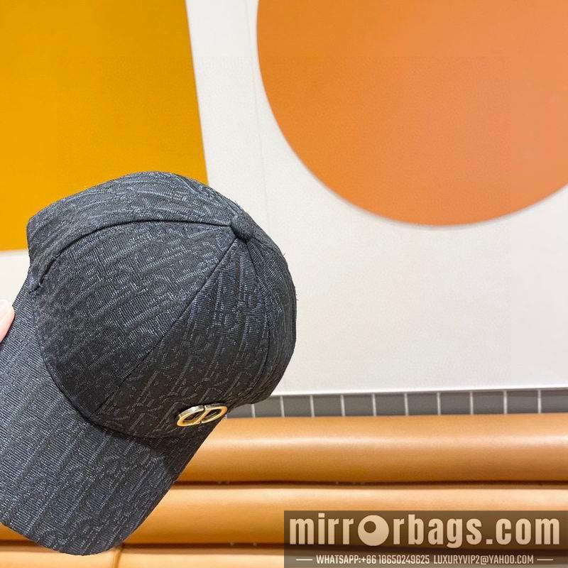 Replica Dior Hat 020801