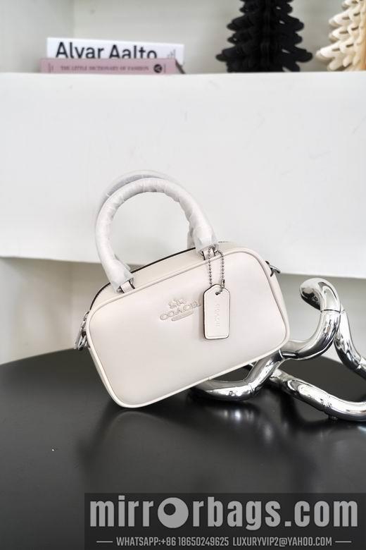 Replica Coach Bags 062302 AZ 4colour