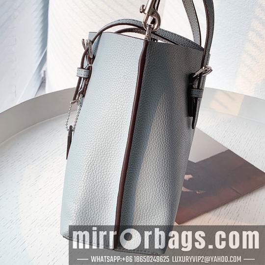 Replica Coach Bags Coach C4250 25x19x110cm zy1