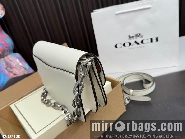 Replica Coach Bags 21X13cm 102506 DN 3colour