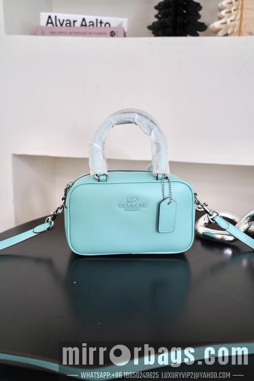 Replica Coach Bags 062302 AZ 4colour