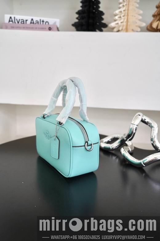 Replica Coach Bags 062302 AZ 4colour