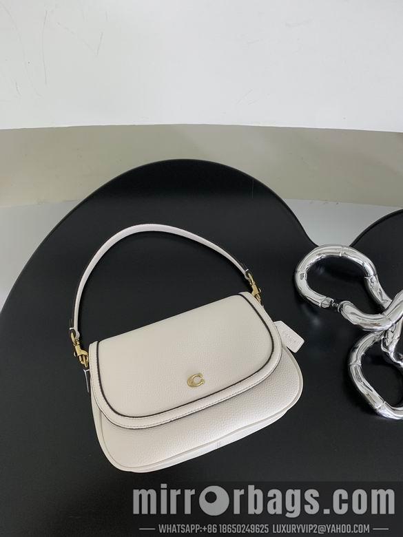 Replica Coach Bags 062301 AZ 4colour