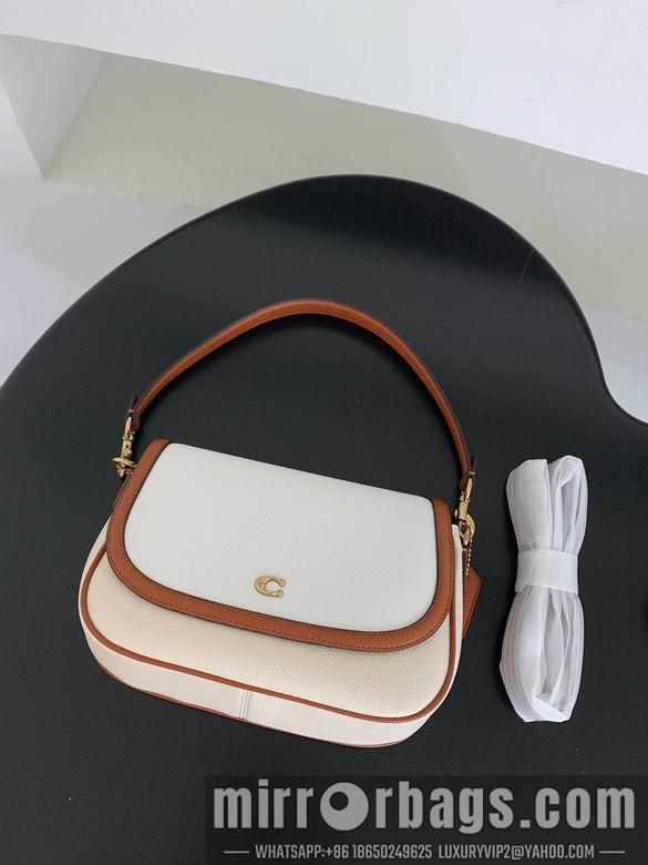 Replica Coach Bags 062301 AZ 4colour