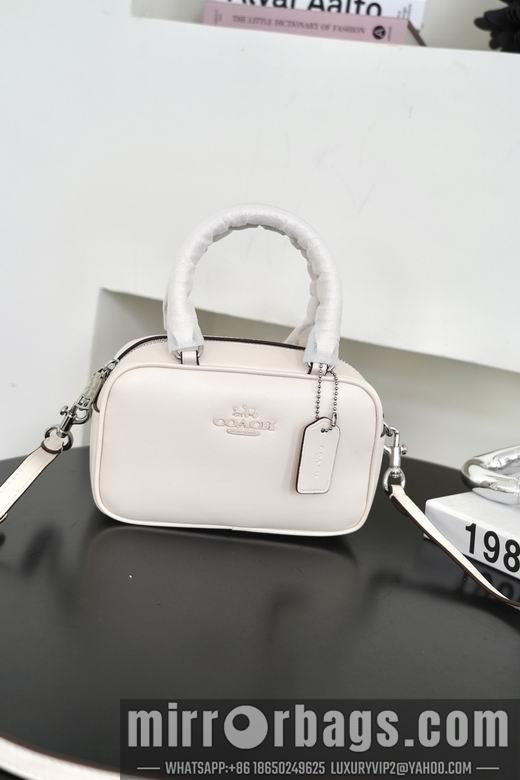 Replica Coach Bags 062302 AZ 4colour