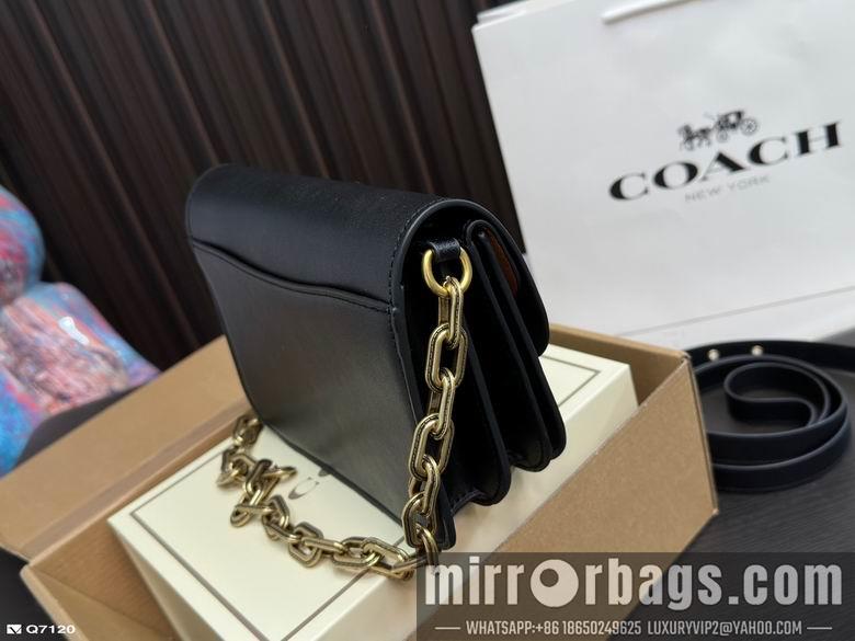 Replica Coach Bags 21X13cm 102506 DN 3colour