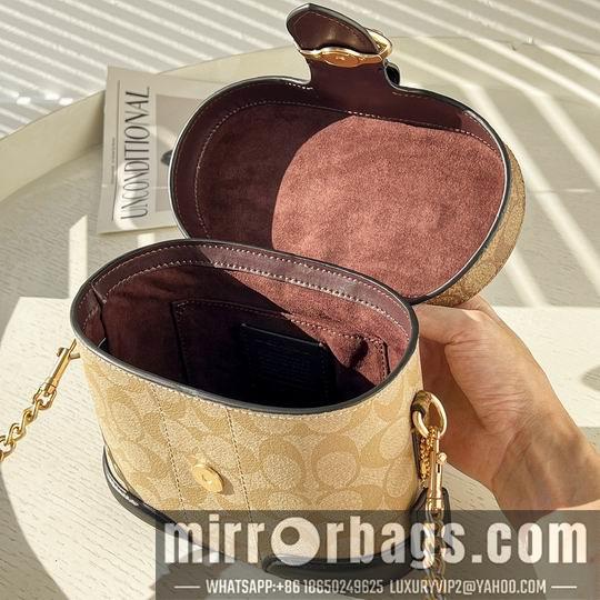 Replica Coach Bags 55047 21X14X10cm AZ